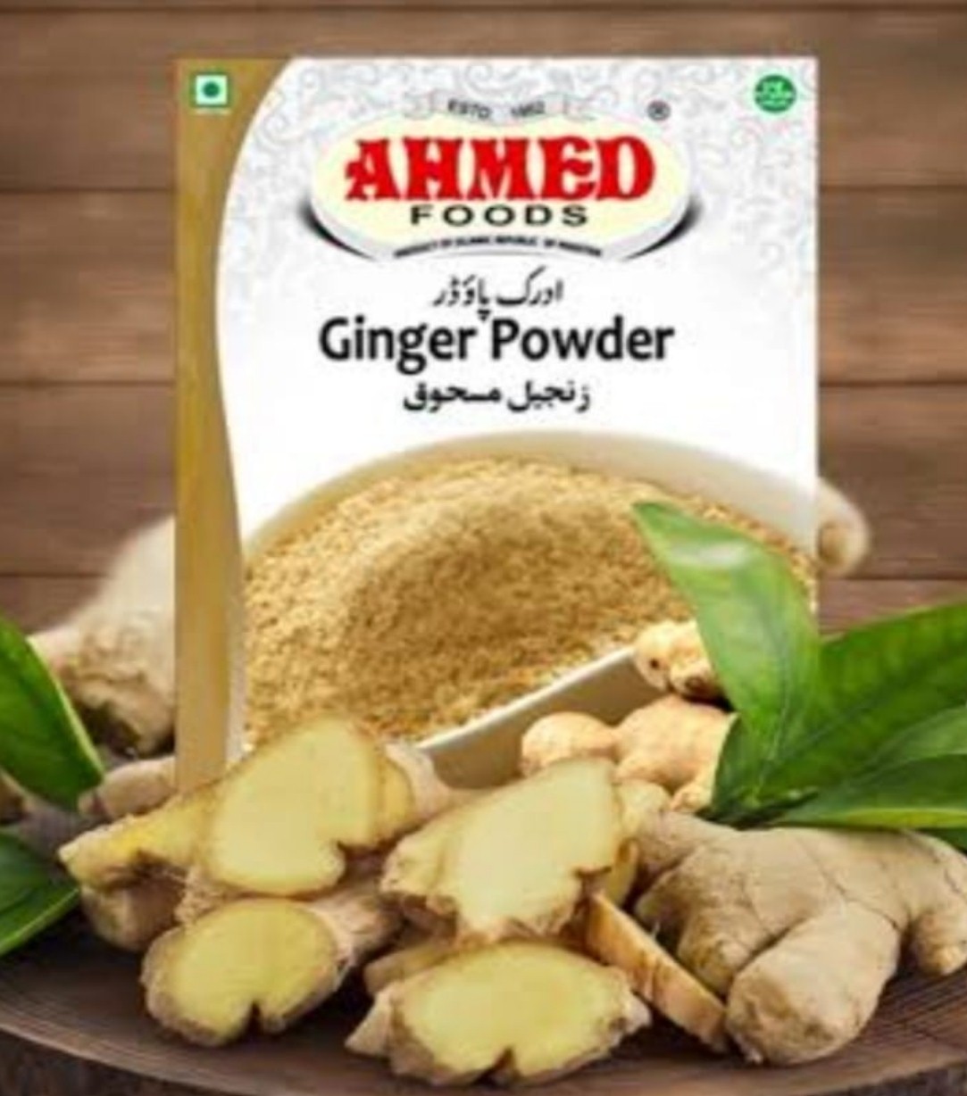 Ginger powder 100g